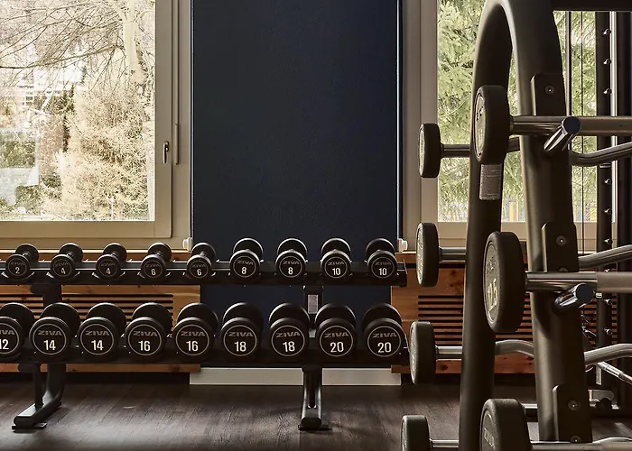 فندق لودينيلا سانت موريتز