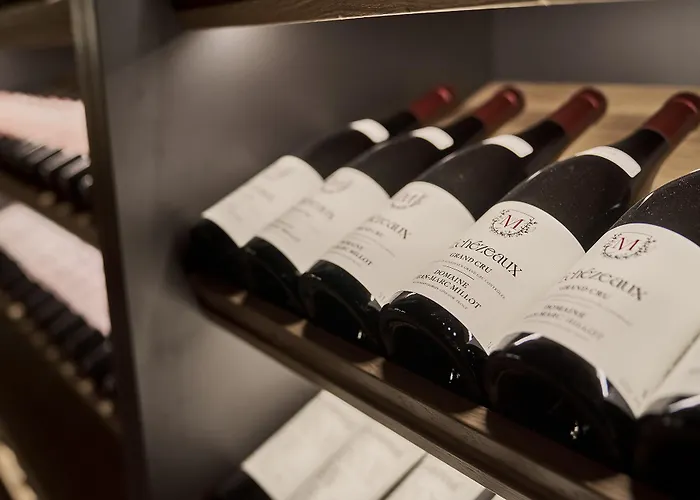 لودينيلا فندق سانت موريتز