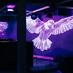 라우디넬라 세인트모리츠